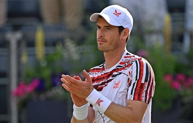 迷的期待 迷的期待